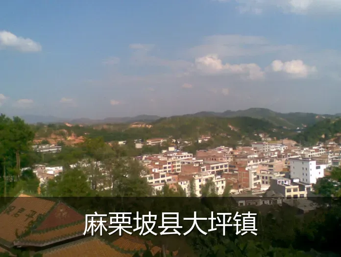 麻栗坡县大坪镇