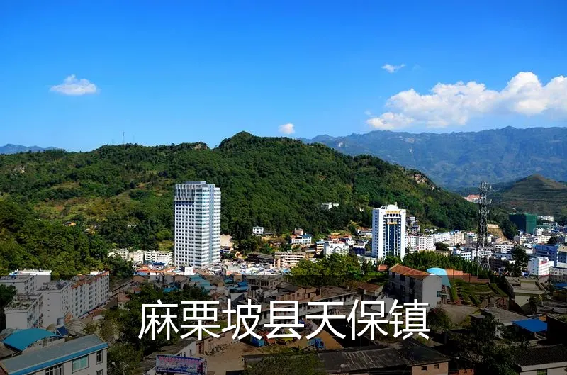 麻栗坡县天保镇