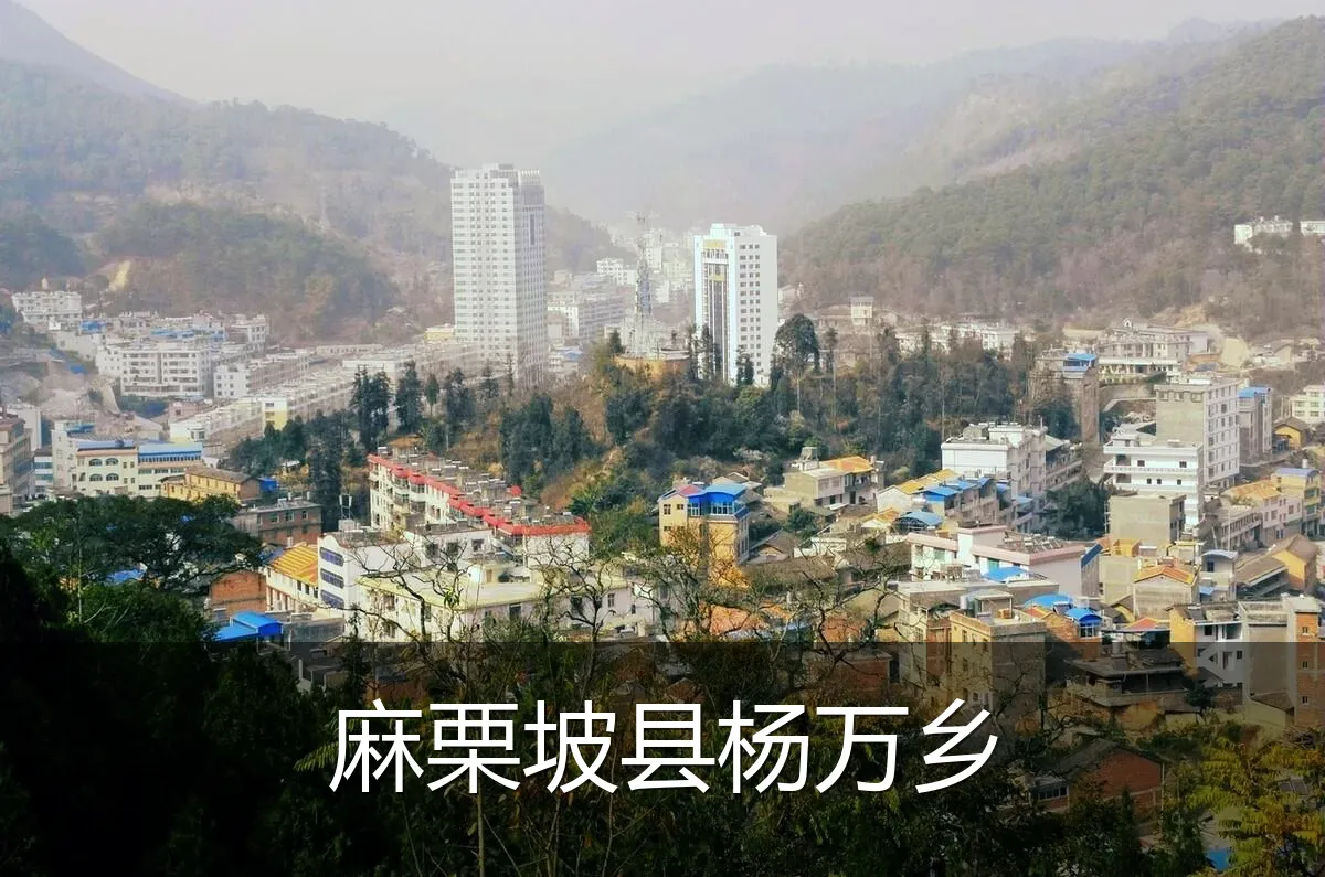 麻栗坡县杨万乡